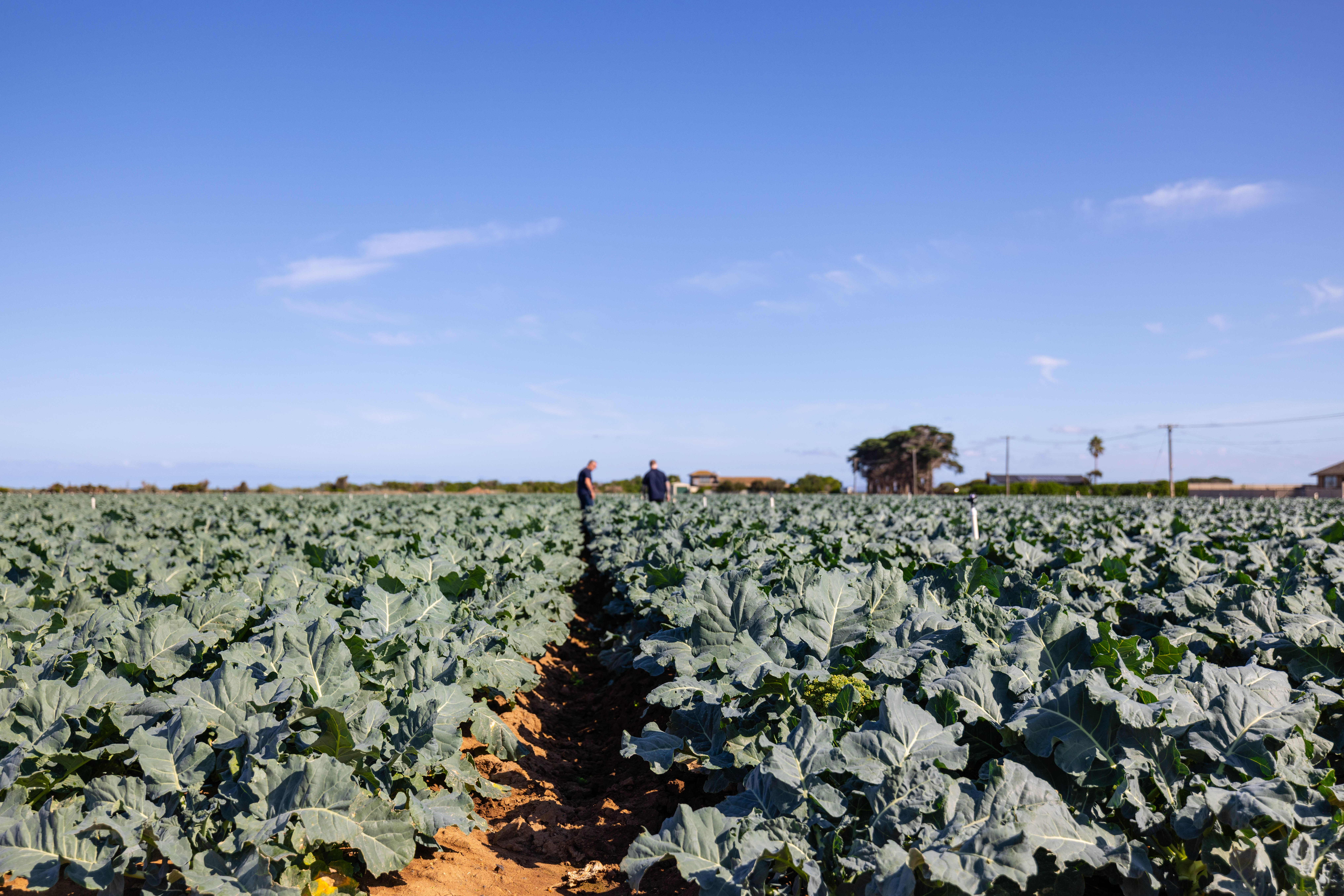 Introduction to click2gro